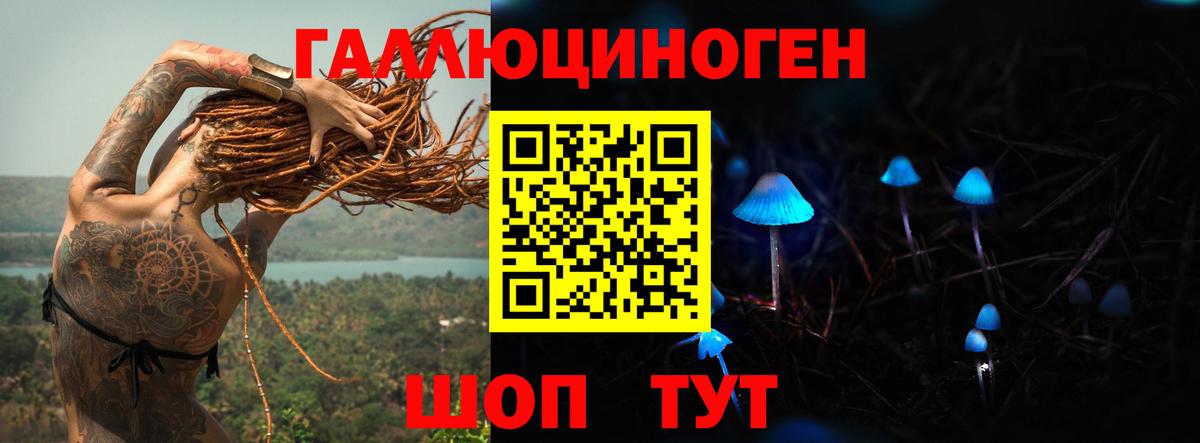 Псилоцибиновые грибы мицелий Щёлково